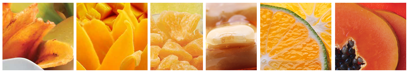 FOODPhilippines at SIAL Paris